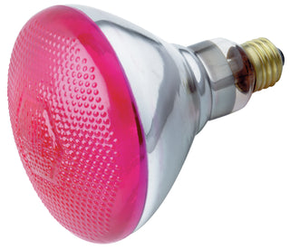 230 VOLT 100W BR-38 PINK E27