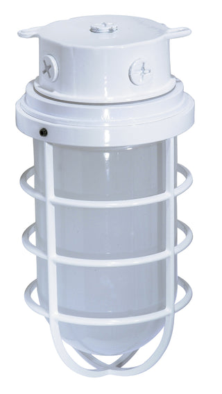 1 LT LARGE VAPOR PROOF SURFACE