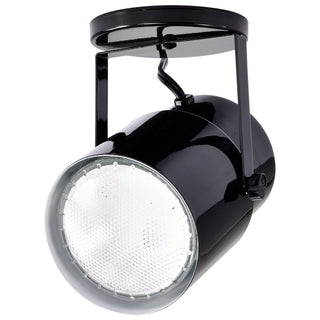 BLACK PLANT OR PIN UP LAMP