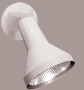 1 LIGHT 8" PAR38 FLOODLIGHT