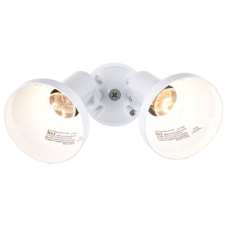 2 LIGHT 15" PAR38 FLOODLIGHT