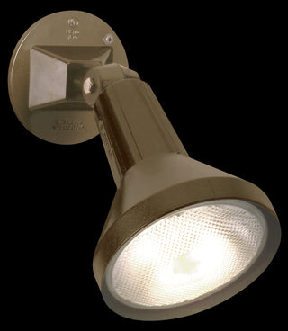 1 LIGHT 8" PAR38 FLOODLIGHT