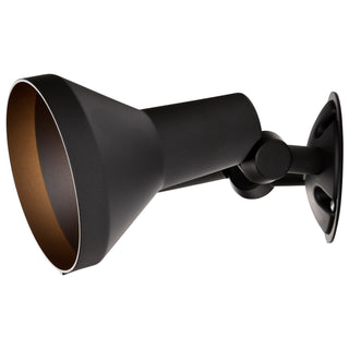 2 LIGHT 15" PAR38 FLOODLIGHT