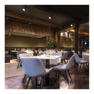 30W BEAM ADJ TRK HEAD J-STYLE