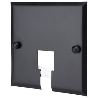 BLACK CUR LIM CANOPY PLT