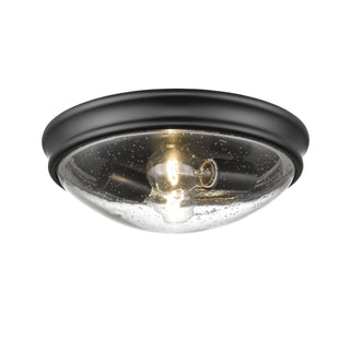 2-Light Flushmount Ceiling Light Matte Black
