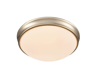 2-Light Flushmount Ceiling Light Modern Gold