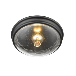 1-Light Flushmount Ceiling Light Matte Black