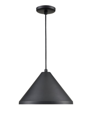 R Series 1-Light Cord Hung Wide Cone Satin Black