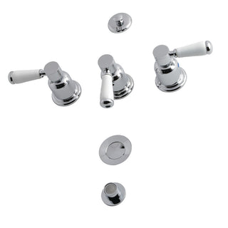 Paris Bidet Faucet in Polished Chrome