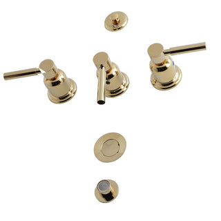 Concord Bidet Faucet in Polished Brass