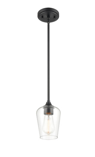 Ashford 1-Light Mini-Pendant - Matte Black