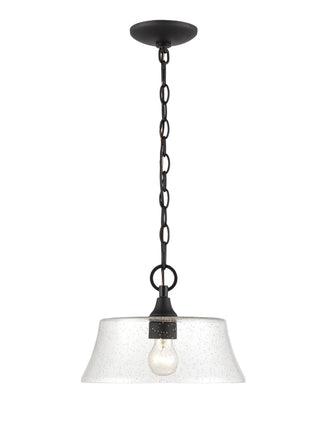 Caily 1-Light Pendant light Matte Black