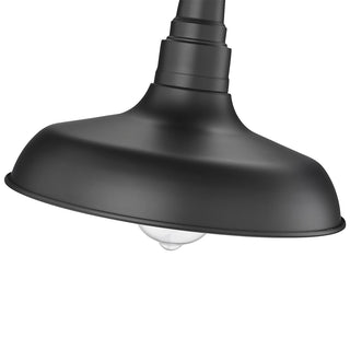 1-Light Outdoor Hanging Lantern Powder Coated Black