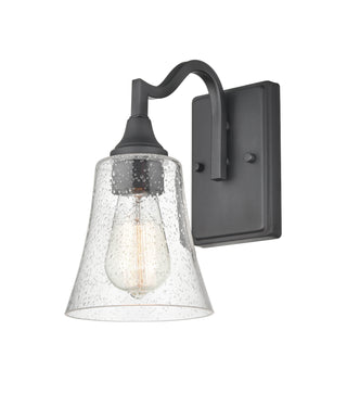 Caily 1-Light Wall Sconce Matte Black