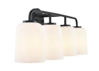 Laphia 28" Wide 4-Light Vanity - Matte Black