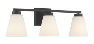 Strayhan 22" Wide 3-Light Vanity