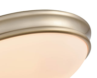 2-Light Flushmount Ceiling Light Modern Gold