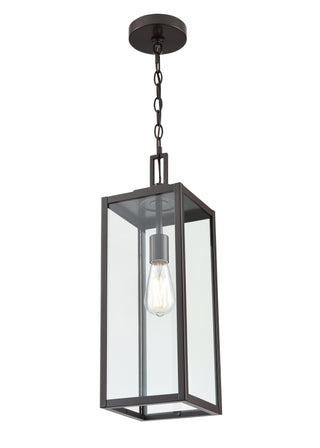 1-Light Outdoor Hanging Lantern - Powder Coated Bronze