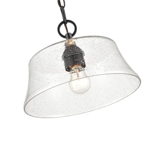 Caily 1-Light Pendant light Matte Black