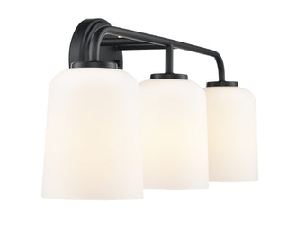 Laphia 22" Wide 3-Light Vanity - Matte Black