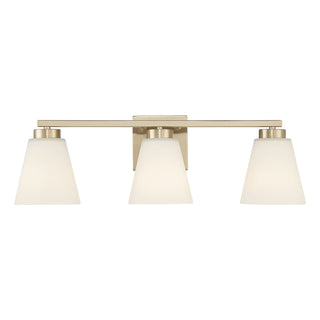 Strayhan 22" Wide 3-Light Vanity