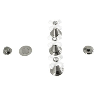 Victorian Bidet Faucet in Brushed Nickel