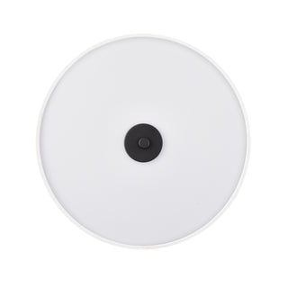 Guyten 13" Wide 2-Light Flushmount - Matte Black