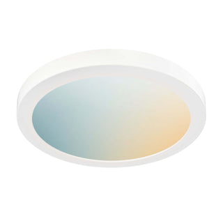Smart 12in Flush Mount, RGB+CCT, BLE mesh - Black