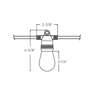DALS CONNECT PRO Smart outdoor string light RGB+CCT 48', 15 Lights