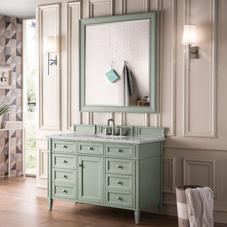 48 Inch Brittany Freestanding Vanity in Sage Green / Victorian Silver Top