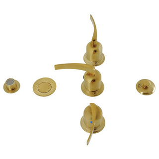 Centurion Bidet Faucet in Brushed Brass