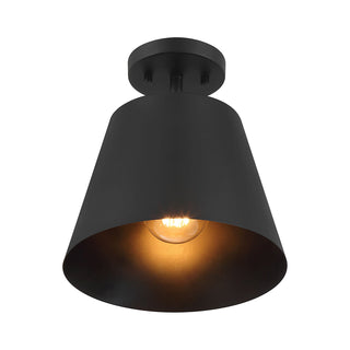 1-Light Ceiling Light in Matte Black