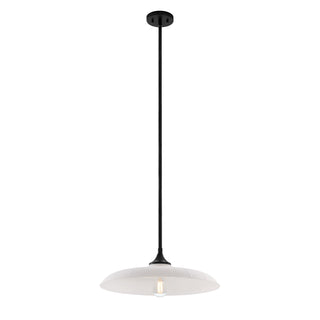 Hadley 1-Light Pendant in Matte Black