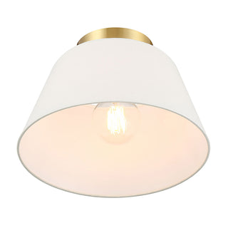 1-Light Ceiling Light in Natural Brass