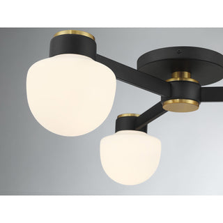 3-Light Ceiling Light in Matte Black with Natural Brass