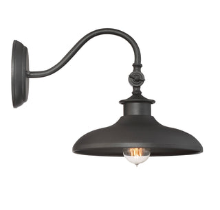 Raleigh 1-Light Outdoor Wall Lantern in Black
