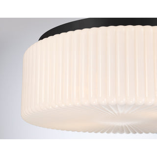 Edgemont 4-Light Ceiling Light in Matte Black