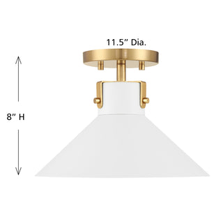 1-Light Ceiling Light in White and Natural Brass