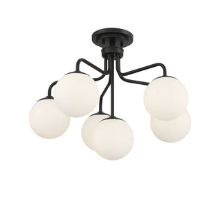 Marco 6-Light Ceiling Light in Matte Black