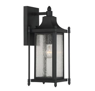 Dunnmore 1-Light Outdoor Wall Lantern in Black
