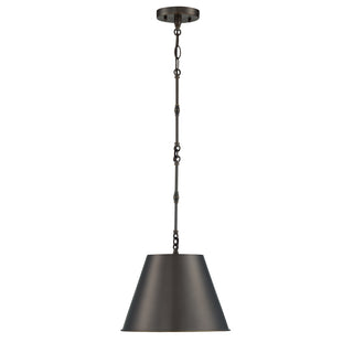 Alden 1-Light Pendant in Old Bronze