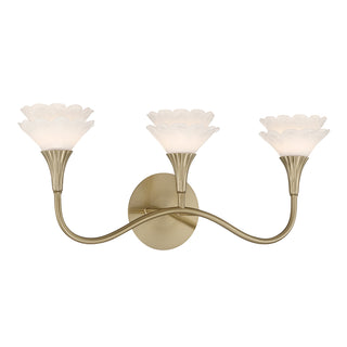 Florena 3-Light Bathroom Vanity Light in Noble Brass by Breegan Jane