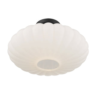 1-Light Ceiling Light in Matte Black