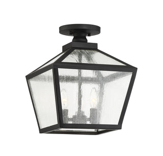 Woodstock 3-Light Outdoor Ceiling Light in Black