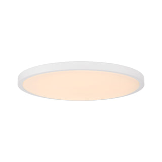 20" LED Flush Mount in White