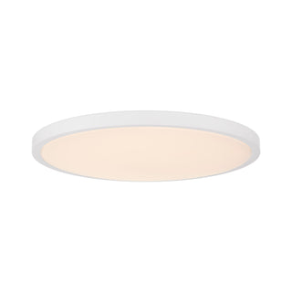 20" LED Flush Mount in White