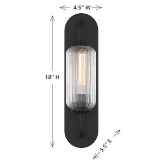 Holton 1-Light Wall Sconce in Matte Black