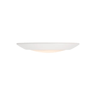 LED Disc Light in White