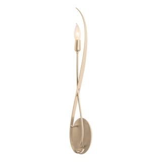 Willow Sconce